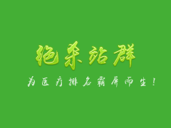 绝杀站群LOGO